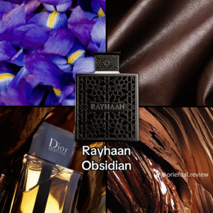 Rayhaan Obsidian